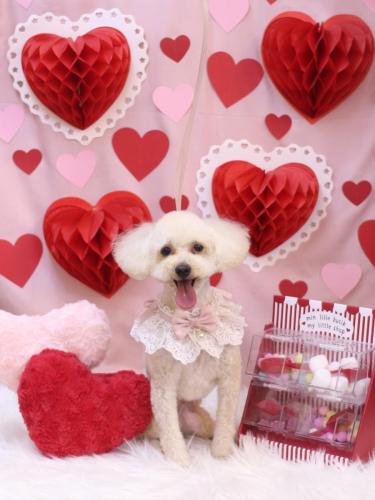 20240224心音ちゃん